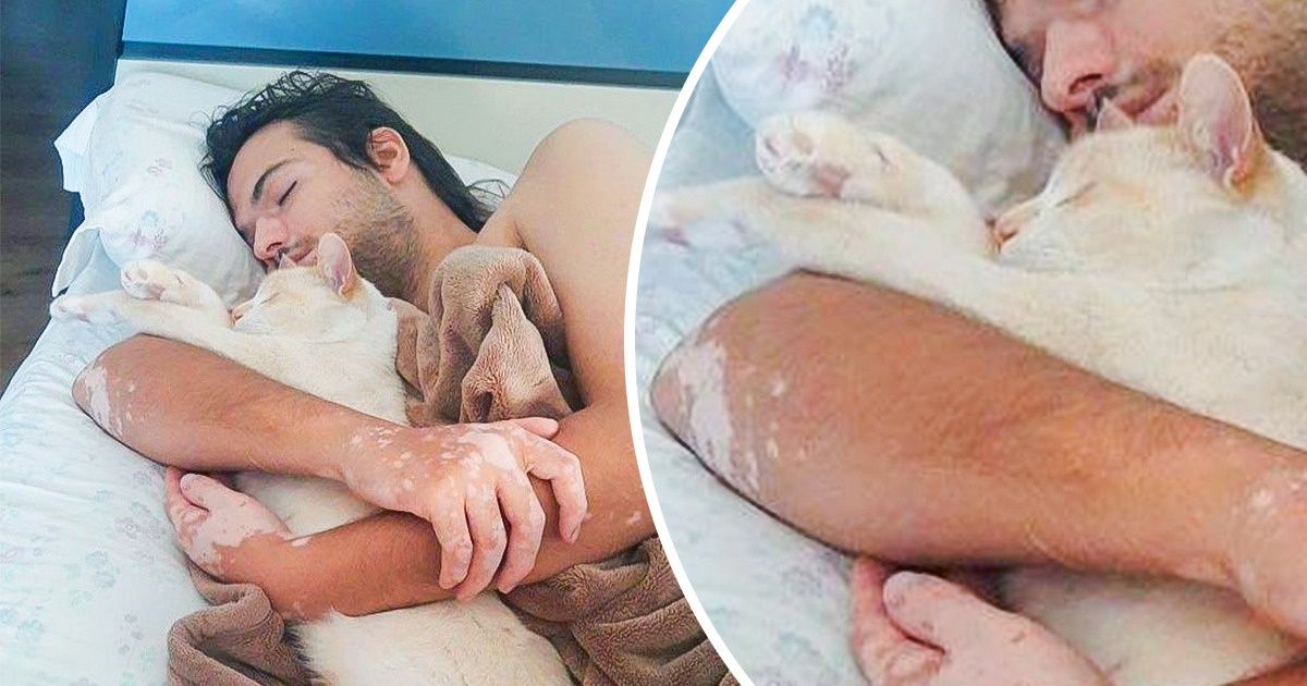 Bộ hình ảnh của những bé chó mèo không thế sống được nếu thiếu sen khiến bạn phải phì cười