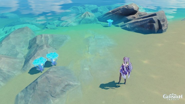 Genshin Impact: Hướng dẫn các vị trí xuất hiện Nấm linh chi biển
