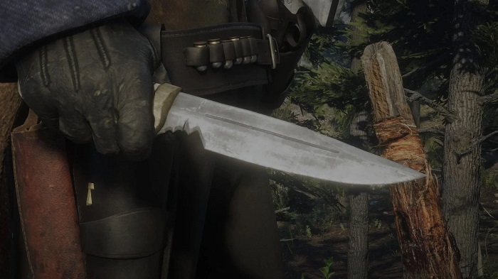 Ba năm trôi qua và game thủ Red Dead Redemption 2 vẫn tìm ra Easter Egg