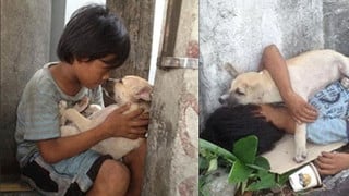 Cậu bé lang thang bị bắt nạt nhặt chú chó hoang về làm bạn: 2 mảnh đời bất hạnh bù đắp nhau
