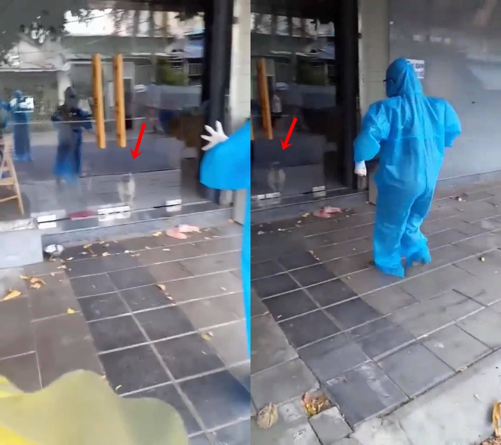 Clip nhân viên lấy mẫu xét nghiệm làm nhiệm vụ vẫn đam mê trêu cún