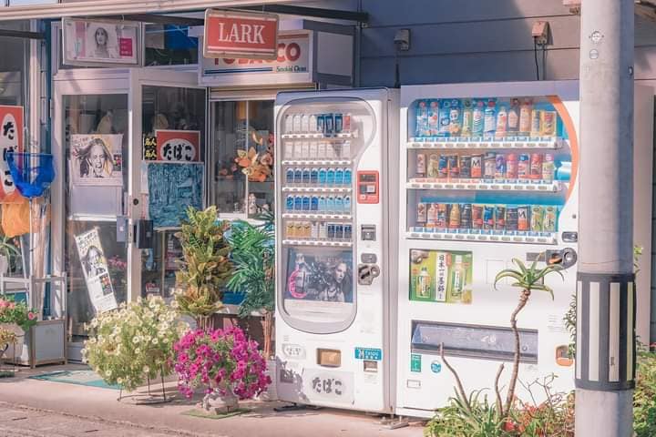 Những bức ảnh đời thực "ảo diệu" như bước ra từ thế giới anime (Phần 1)