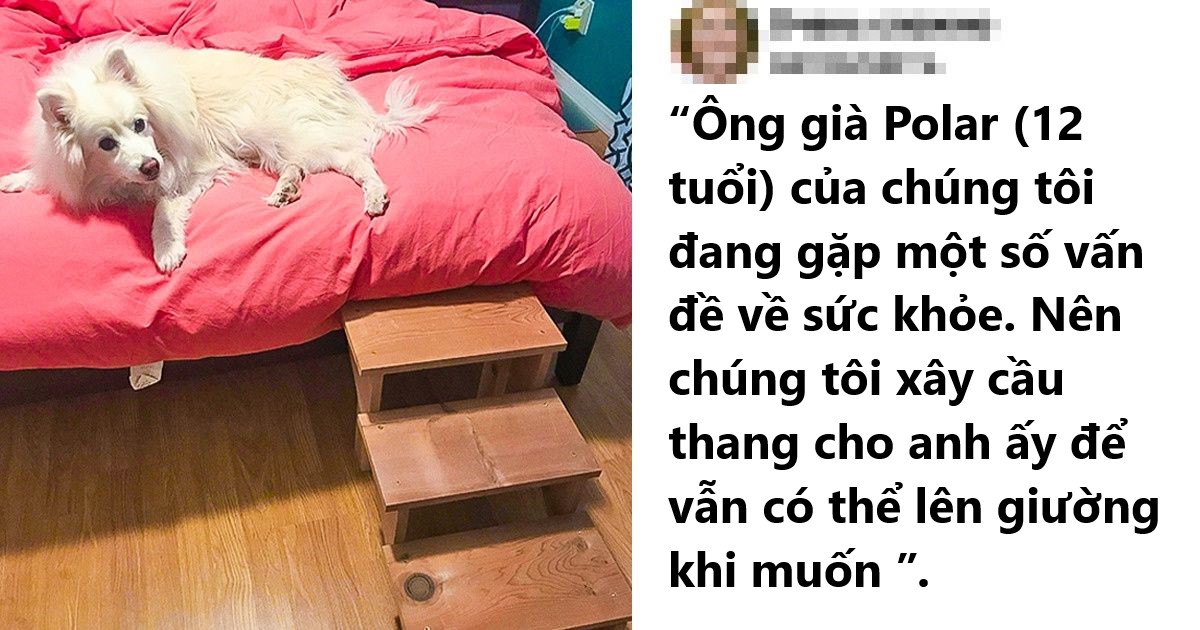 Tổng hợp những hình ảnh các bé động vật dù đã lớn tuổi nhưng vẫn mãi là bé con của lòng sen