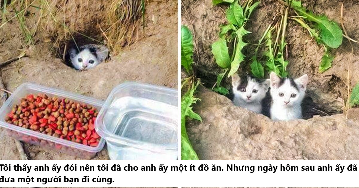 21 hình ảnh các bé động vật được sống trong sự yêu thương của con người khiến cho bạn cảm thấy ấm lòng