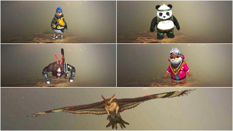 Free Fire: 5 Pet mạnh nhất trong tháng 8 năm 2021