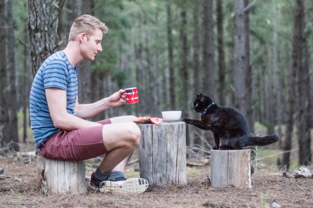 Những dấu hiệu và cách để cho một con mèo yêu quý bạn nhiều hơn