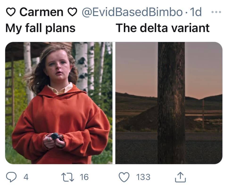 Meme Kế hoạch mùa thu vs Biến thể Delta - 1 meme bỗng nhiên nổi tiếng trên toàn thế giới