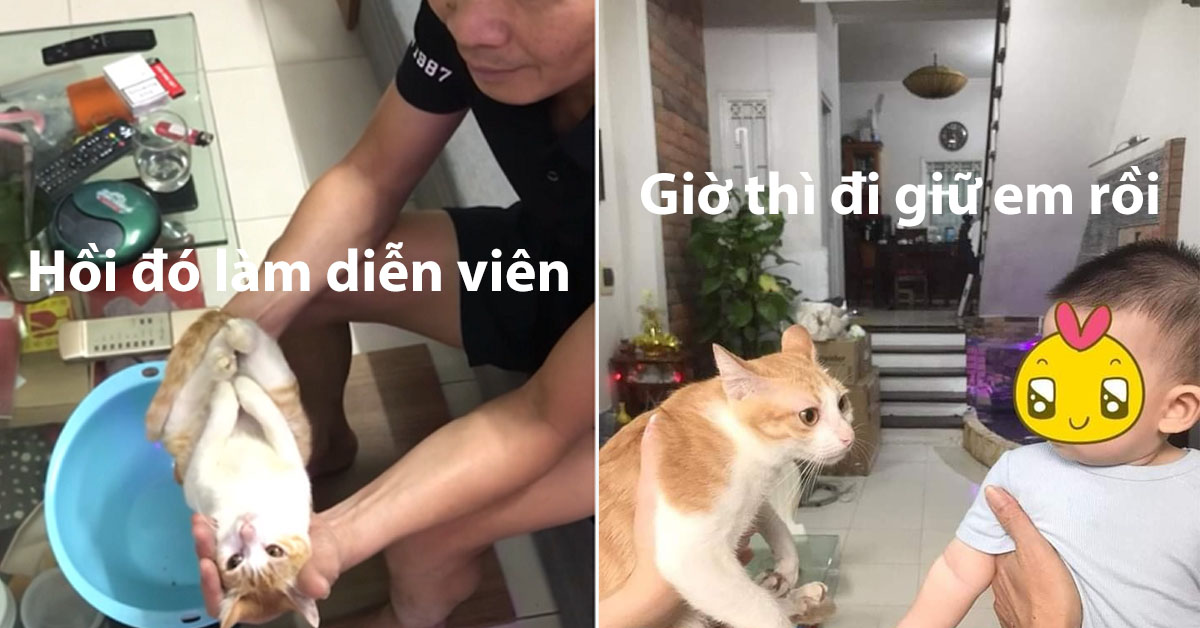 Diễn viên Hô-li-wút Lạc Lạc "thoát kiếp" đóng thế vì sen đã trở thành zú em full time