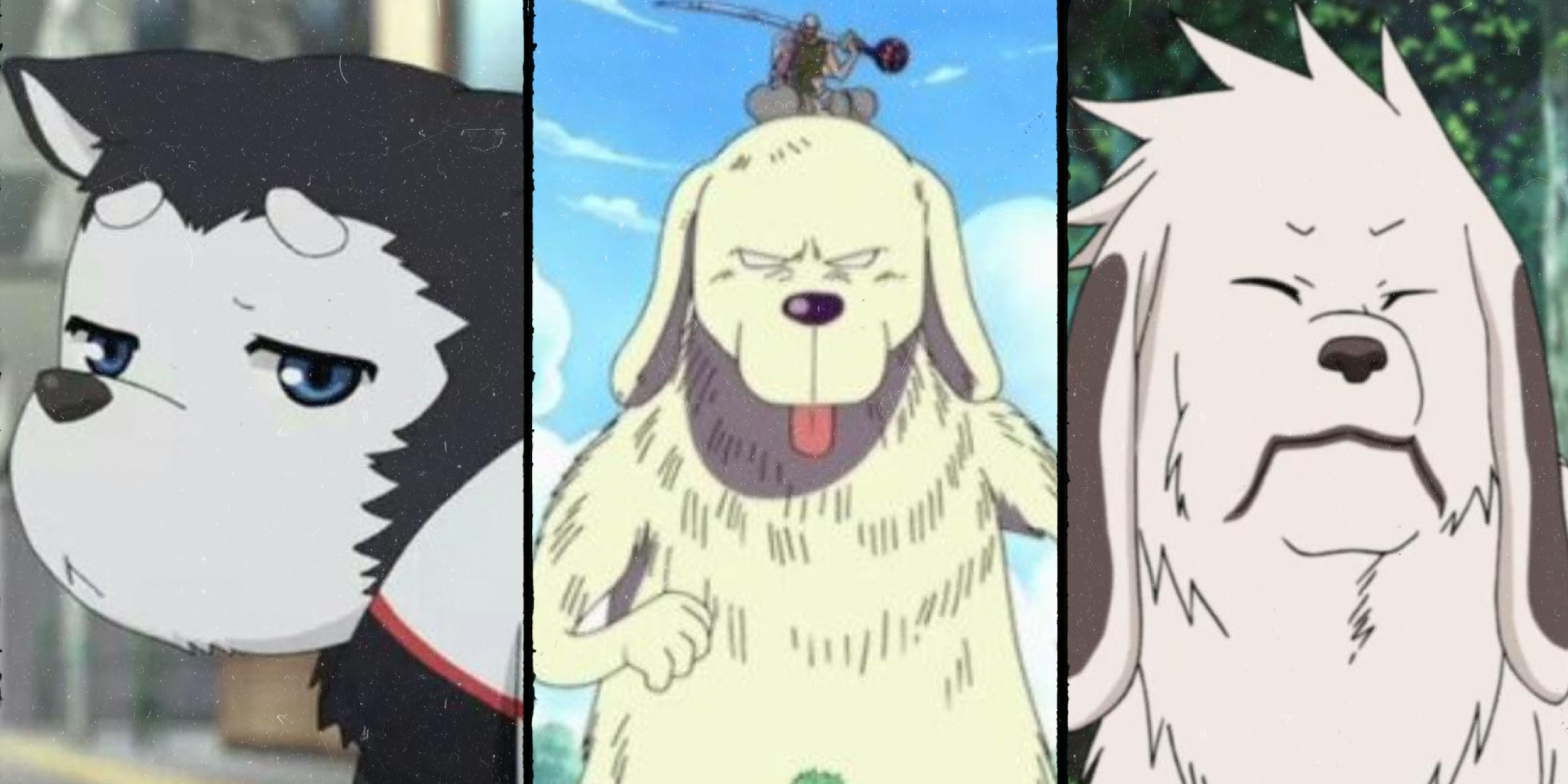 TOP 10 chú chó nổi tiếng nhất anime/manga Nhật Bản