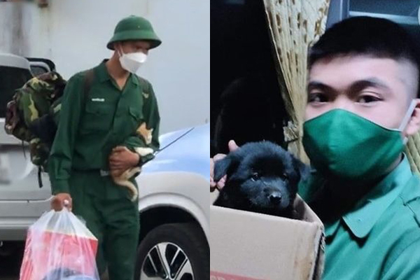 Xuất ngũ mang về cả mèo lẫn chó, những anh bộ đội chiếm trọn cảm tình của cư dân mạng