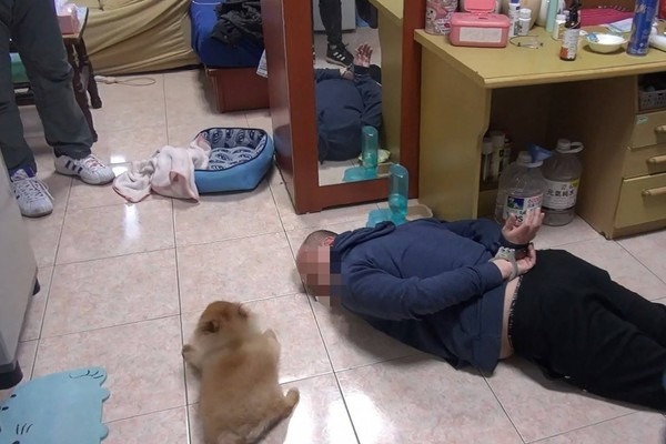 Truy bắt đối tượng truy nã, cảnh sát gặp phải một chú chó tấu hài cực mạnh