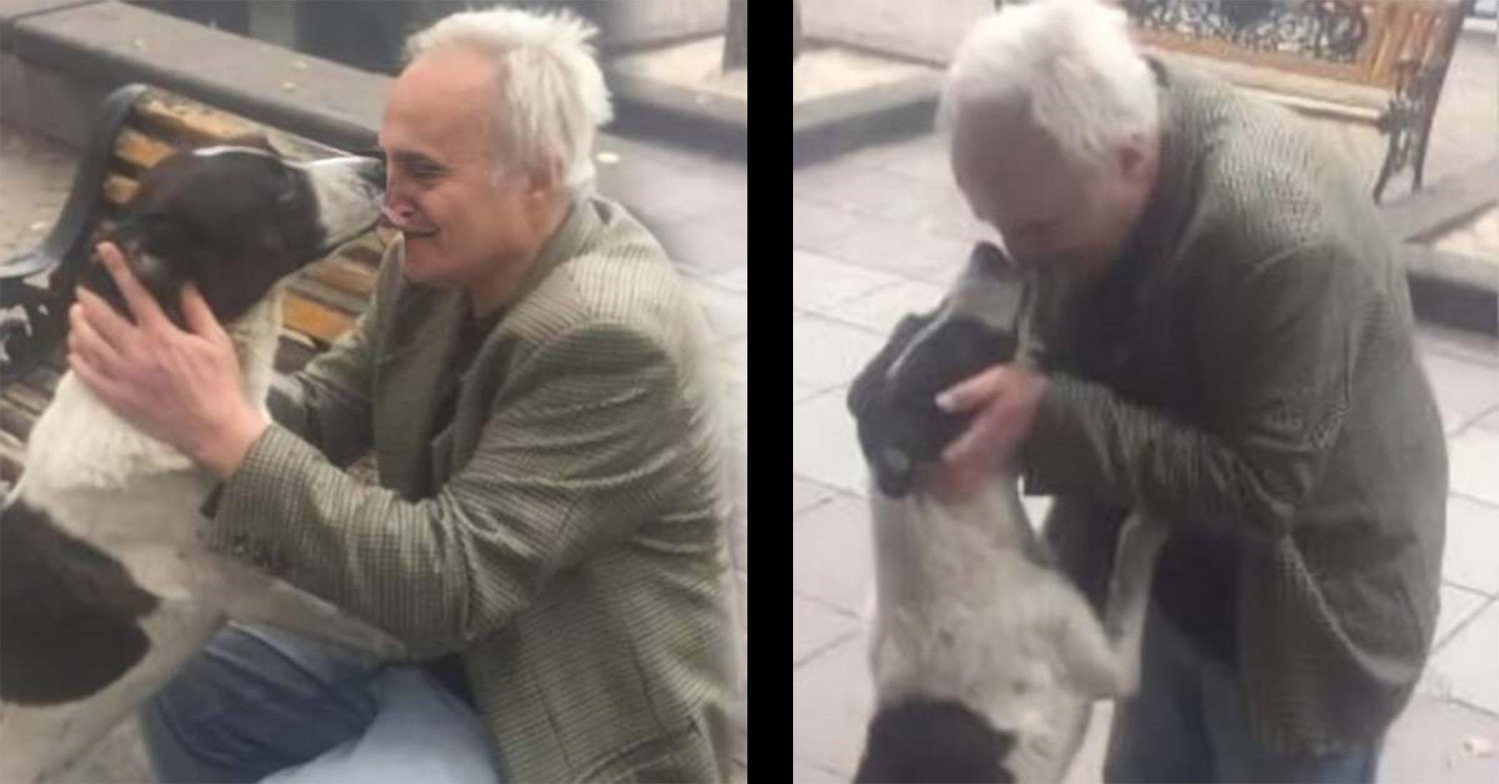 Tràn đầy hạnh phúc với khoảnh khắc cụ ông ôm lấy chú chó cưng sau 3 năm lạc mất nhau