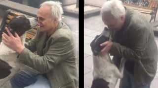 Tràn đầy hạnh phúc với khoảnh khắc cụ ông ôm lấy chú chó cưng sau 3 năm lạc mất nhau
