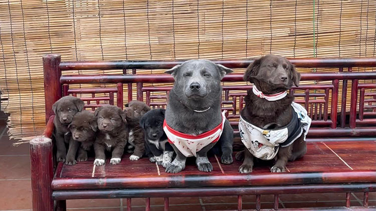 Idol Nguyễn Văn Dúi - Ngày nào còn thơ với khuôn mặt gợi đòn nay đã là bố của tụi nhỏ