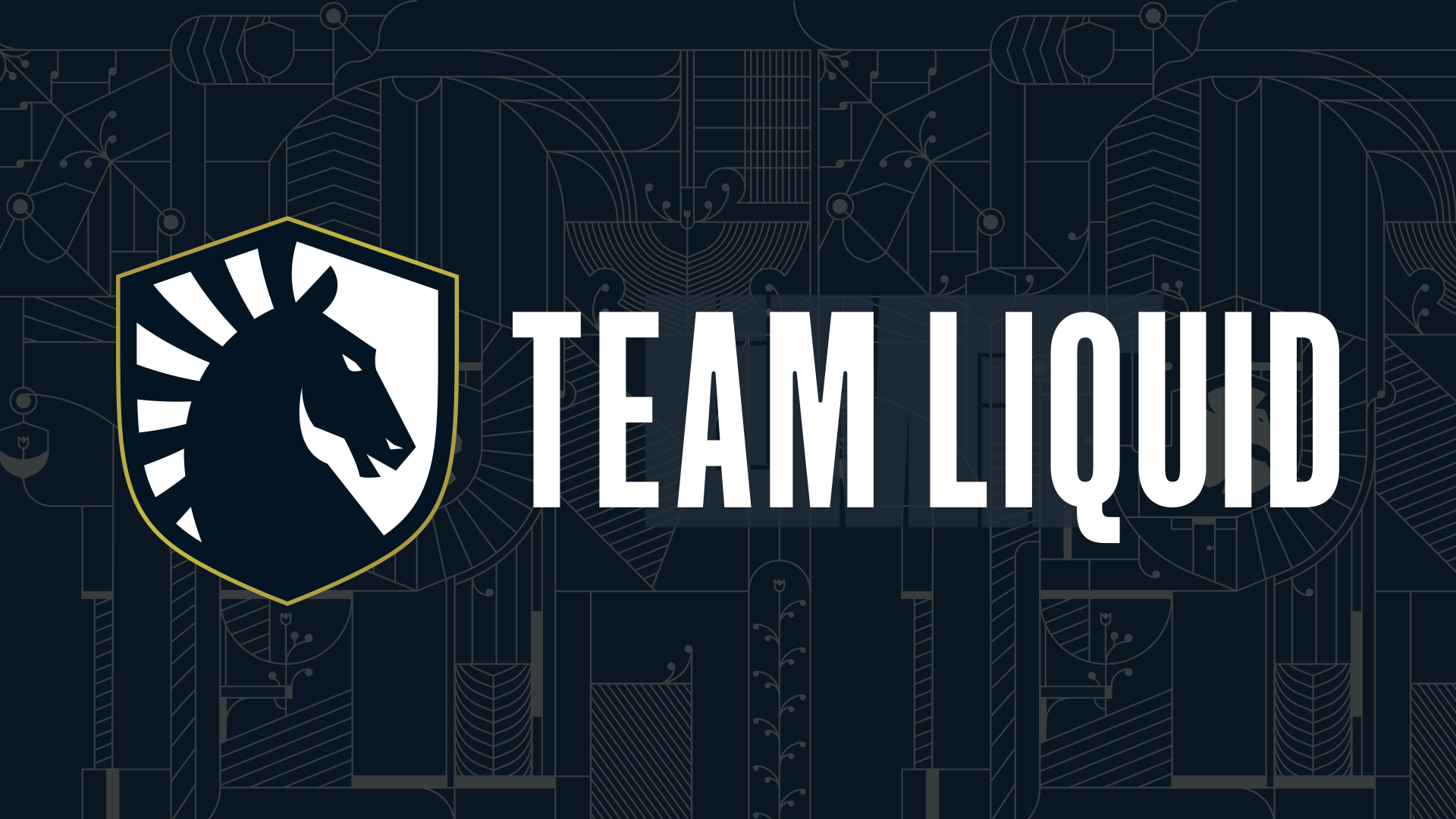 Team Liquid lên kế hoạch tổ chức giải đấu CKTG World of Warcraft tại Boston