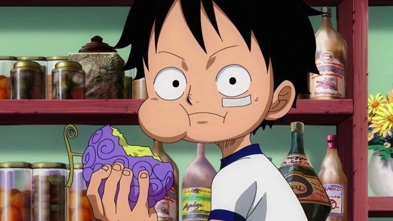 One Piece: Trái Gomu Gomu quan trọng như thế nào mà phải được một CP-9 đứng ra bảo vệ?
