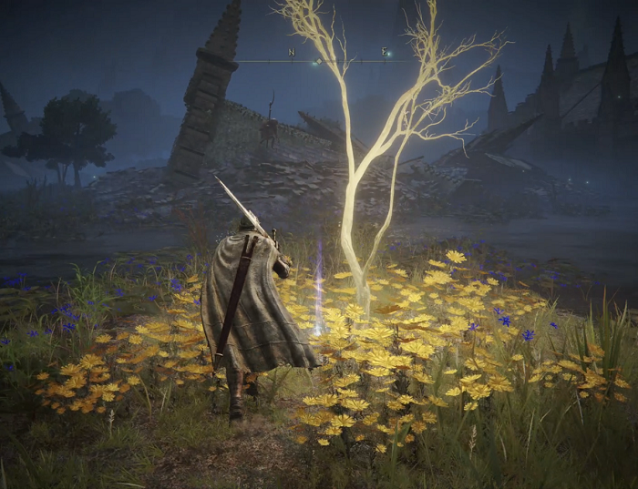 Elden Ring: Tổng hợp các Golden Seed ở vùng Limgrave