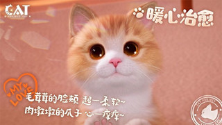 Project Cat - Game giả lập nuôi mèo siêu chân thực từ nhà phát triễn Võ Lâm Truyền Kỳ