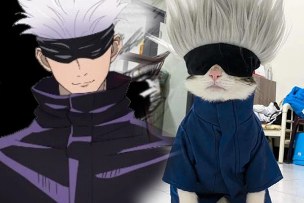 Cộng đồng phát sốt với chú mèo cosplay thành Gojo Satoru trong Jujutsu Kaisen