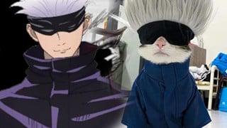 Cộng đồng phát sốt với chú mèo cosplay thành Gojo Satoru trong Jujutsu Kaisen