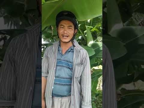 Thử thách 6 ngày 6 đêm là gì ? Gét Gô là gì ? mà khiến cộng đồng mạng chao đảo đến như thế?