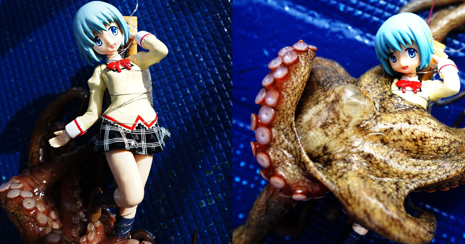 Dùng mô hình Anime để làm mồi câu bạch tuộc, nam Youtuber khiến cho cộng đồng phải "suy nghĩ đen tối"