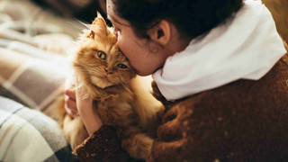 Nghiên cứu chỉ ra những con mèo láo toét là do bắt chước tính cách và lối sống của người chủ