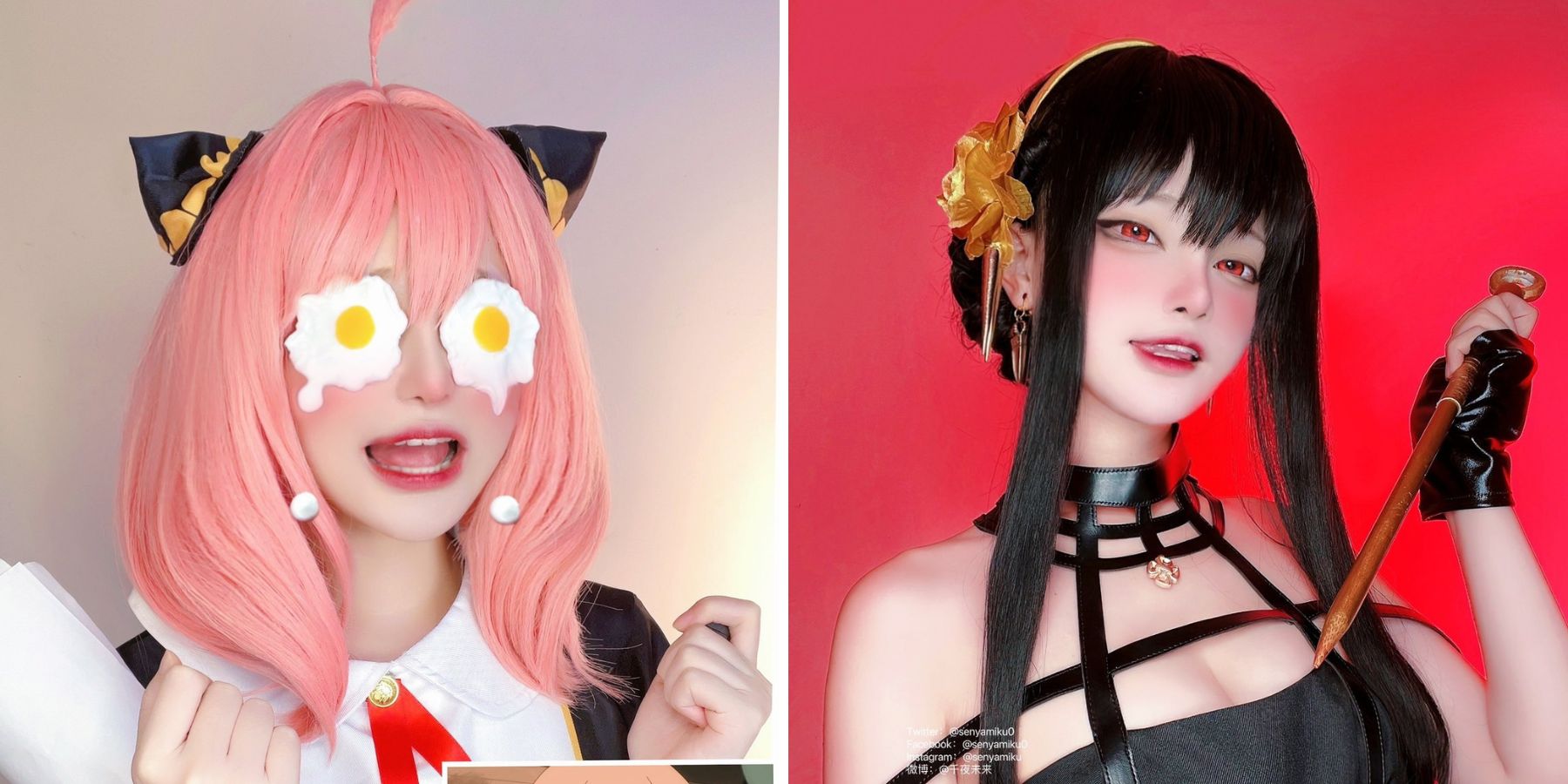 Cosplay Anya, Yor Spy X Family, Senyamiku 'hóa đá' fan vì xinh quá đáng!