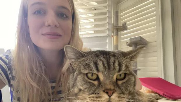 Cô nàng có công việc vô cùng nhàn nhã - Chỉ cần trông mèo cũng tiết kiệm được hàng trăm triệu đồng