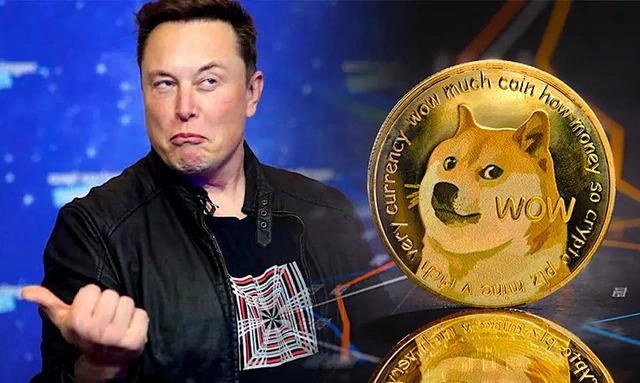 Elon Musk bị kiện với cáo buộc dụ dỗ các nhà đầu tư đổ tiền vào Dogecoin