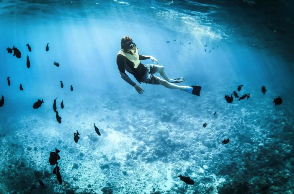 Những chú "Robot cá" này có thể nuốt chửng các hạt vi nhựa đang làm ô nhiễm môi trường biển