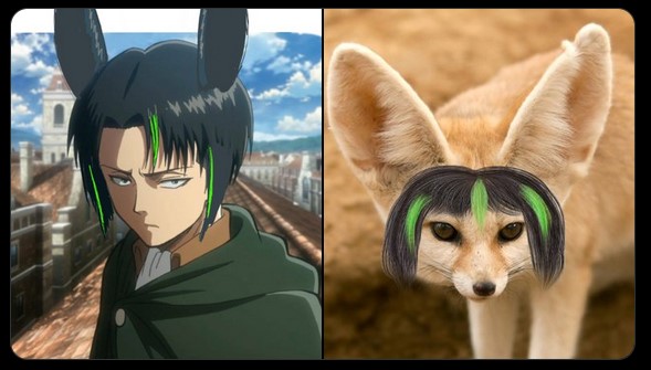 Genshin Impact: Leaker miêu tả hình ảnh trang phục của Tighnari, Dori và Collei