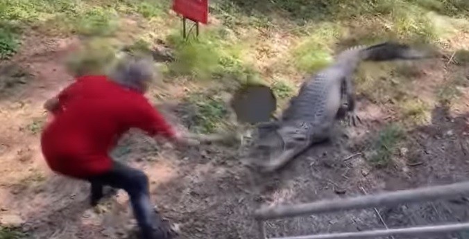 Cụ ông khiến game thủ PUBG phải thán phục khi dùng chảo combat với cá sấu