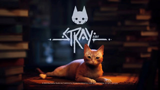 Những gì bạn cần biết về Stray - Tựa game giả lập làm mèo khám phá thế giới Cyberpunk bí ẩn