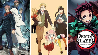 Anime Spy X Family đã từng nổi tiếng hơn Kimetsu No Yaiba và Jujutsu Kaisen gấp nhiều lần!