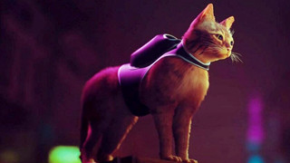 Nhà phát triển Stray hé lộ về "nguồn cảm hứng" để sáng tạo ra chú mèo nhân vật chính