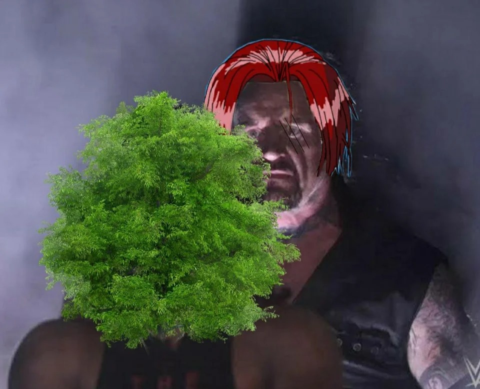 Tổng hợp meme One Piece 1055: Đô đốc Lục Ngưu và Tứ Hoàng Shanks Tóc Đỏ lên xu hướng!