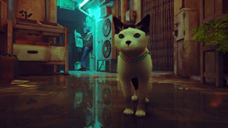 Stray: Modder tạo ra dịch vụ giúp đưa con mèo của bạn vào trong game