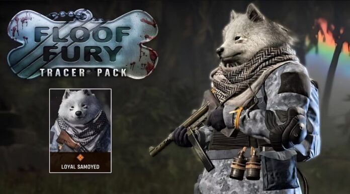 Activision Blizzard bị tố sao chép tác phẩm của một họa sĩ để làm skin trong CoD Vanguard