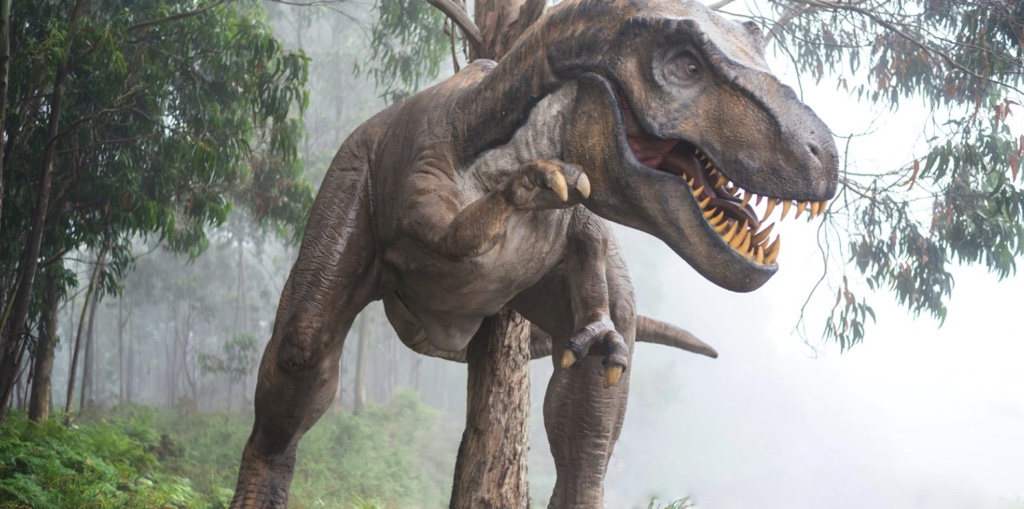 Hạn hán khiến dòng sông cạn nước làm lộ hàng trăm dấu chân khủng long 113 triệu năm trước