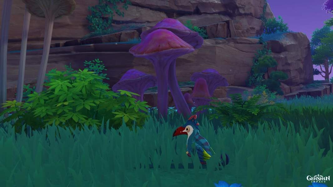 Genshin Impact: Hướng dẫn nhiệm vụ ẩn "bắn chim có thưởng" ở Sumeru