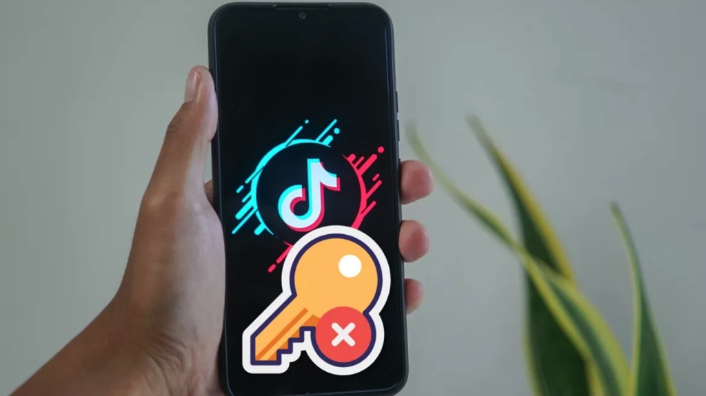 TikTok bị hack, hơn 2 tỷ dữ liệu người dùng bị đánh cắp