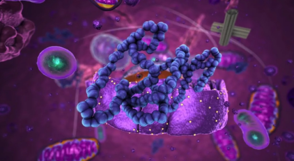 Dự án AI giải mã protein của DeepMind được trao giải thưởng 3 triệu USD