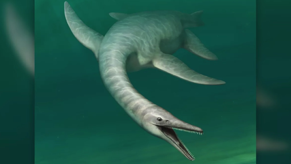 Khai quật xương loài thuỷ quái "hàm cá sấu" tại Wyoming, Mỹ 