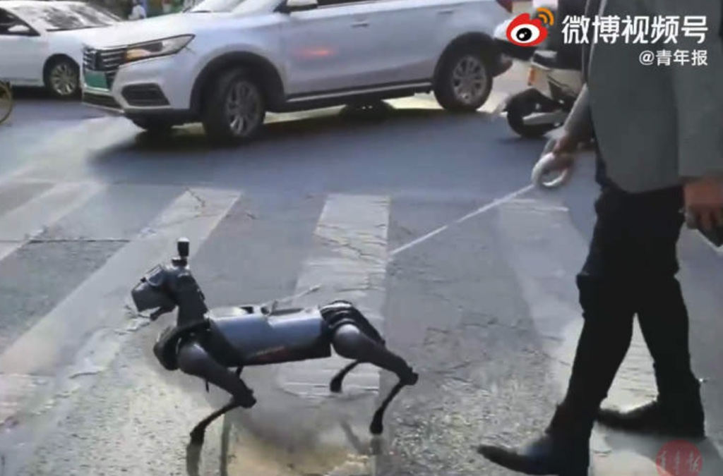 Dắt chó robot đi dạo dường như đã trở thành trào lưu tại các thành phố Trung Quốc