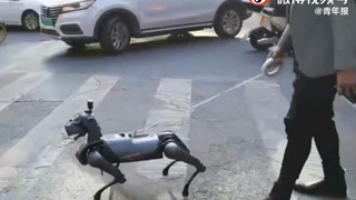 Dắt chó robot đi dạo dường như đã trở thành trào lưu tại các thành phố Trung Quốc
