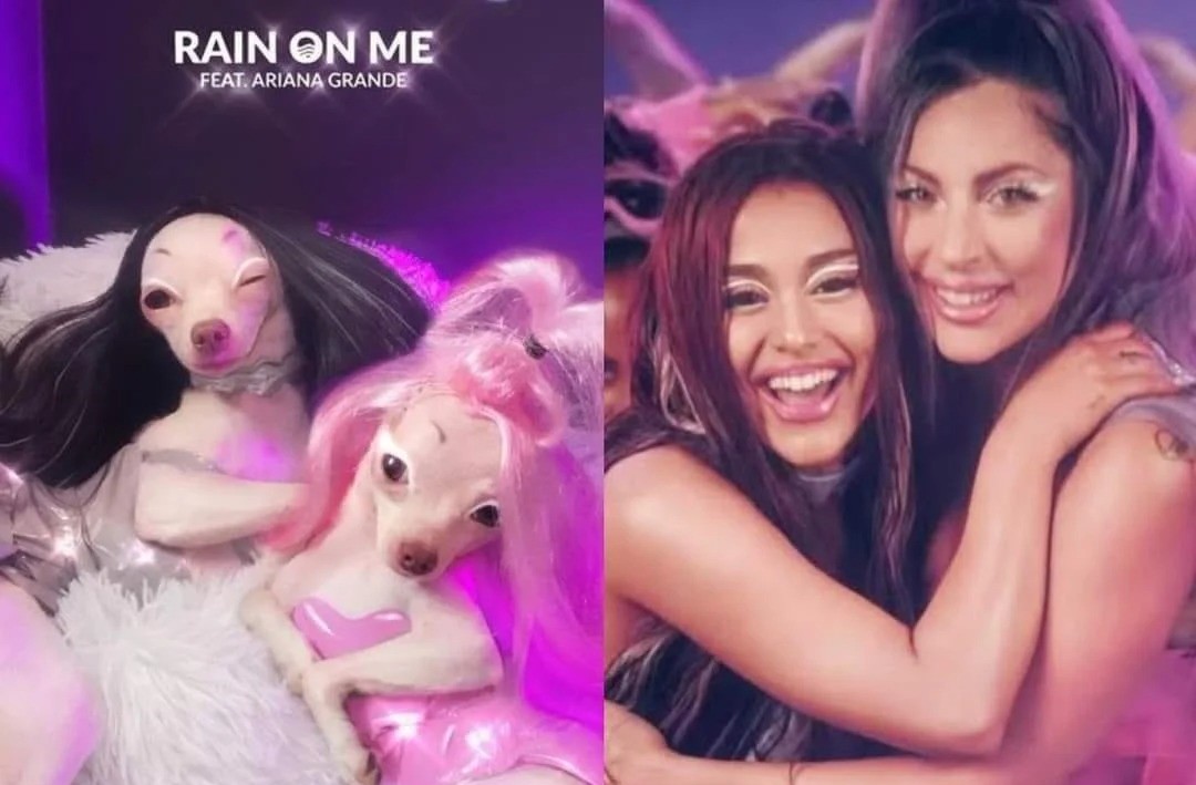 Cười bò trước loạt ảnh cosplay nhân vật nổi tiếng của cô bạn bốn chân (Phần 2)