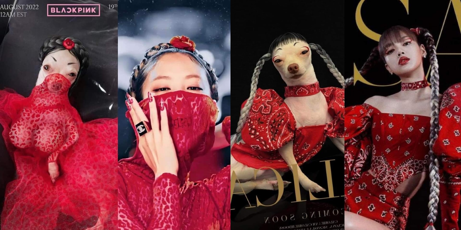 Cười bò trước loạt ảnh cosplay nhân vật nổi tiếng của cô bạn bốn chân (Phần 1)