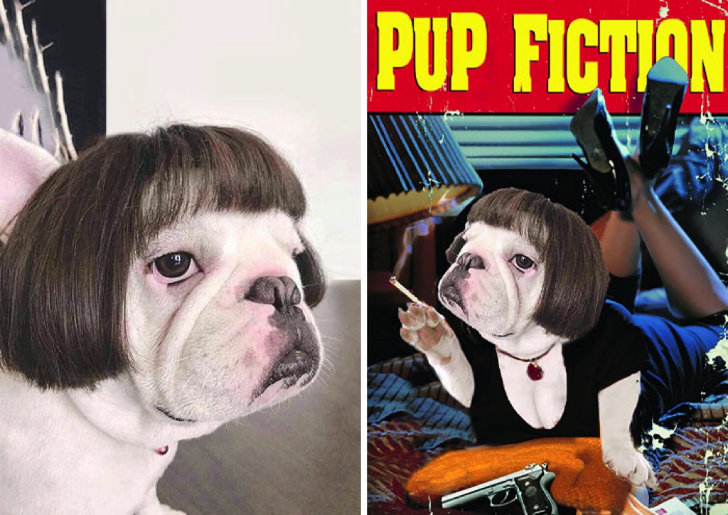 Cười té ghế với loạt ảnh 'chế' hài hước, bựa "nhất quả đất"