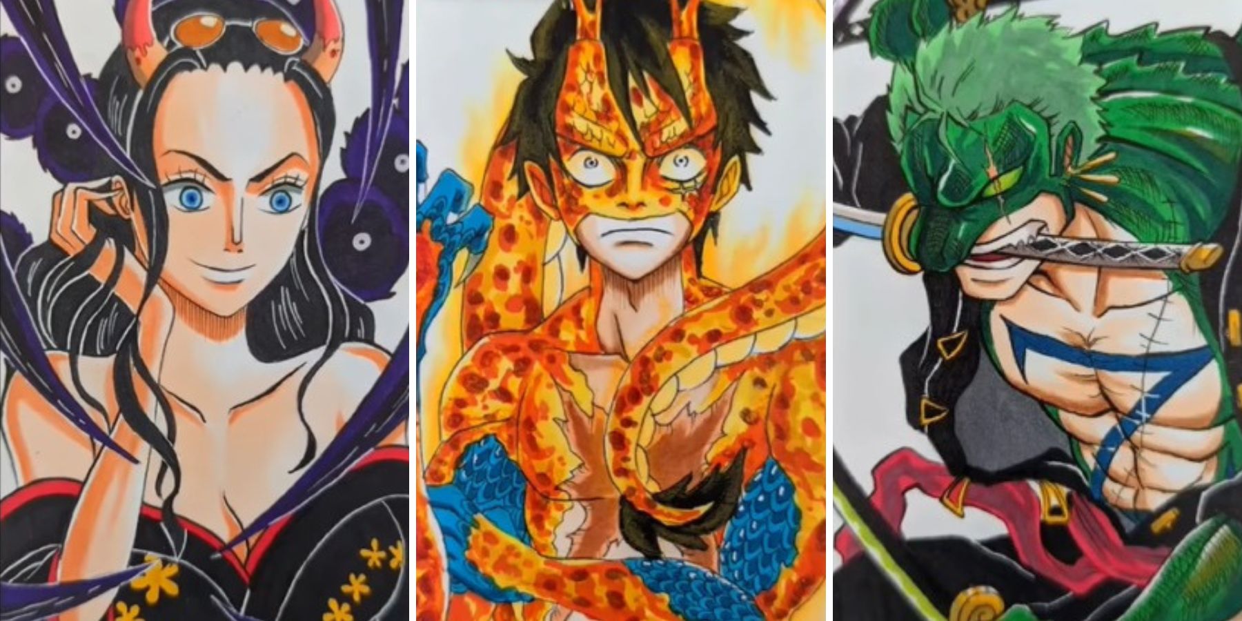 Fanart One Piece: Sẽ thế nào nếu dung hợp băng Mũ Rơm và băng hải tặc Bách Thú của Kaido?